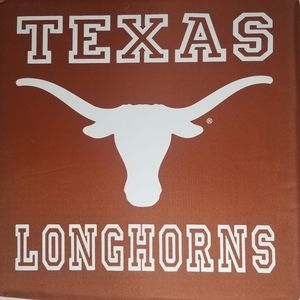 UT Longhorn Tote of Game Day Goodies!